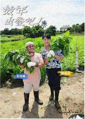 韩国综艺中字在线